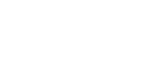 saltic-logo
